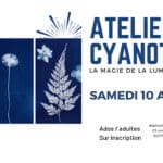 Atelier Cyanotype